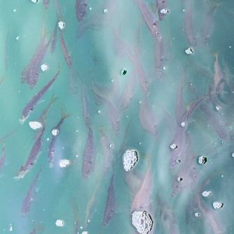 船着場に…この鯵の群れ　大入島ってスゴい🐟️🐟️🐟️