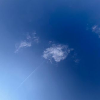 寝転んで大空と対面…