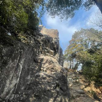 千石岩🪨大きかった。
クライミングのピン？みたいなので各所にありました。