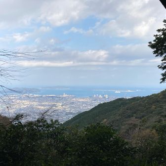 市民の森から市民を見る。すばらしい