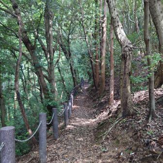 整備された登山道