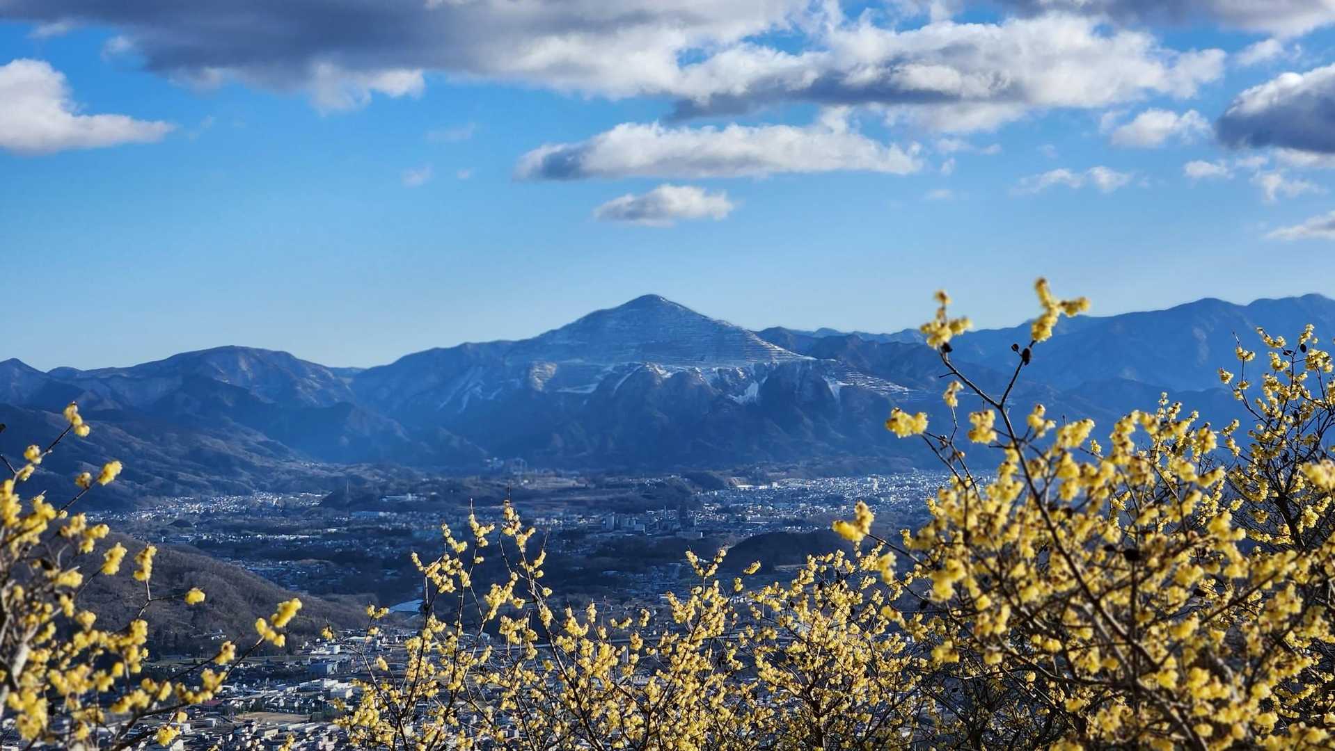 ロープウェイで気軽に楽しめる“宝の登山”の山上散策の写真