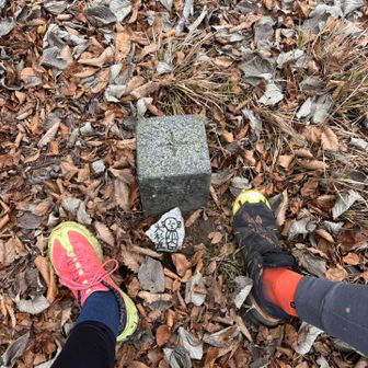 大杉丸山⛰️🙌
また危なく通り過ぎそうだった🤣山標はコレだけかな？