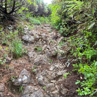 雲峰山への登り返しで脚を攣るのは毎度のお約束