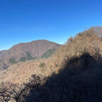 結構下って来ました。途中梯子やくさりもありました。

大室山への登り返しを思うと、下るのがもったいない。登山あるあるの気持ちですが、まだまだ下ります。