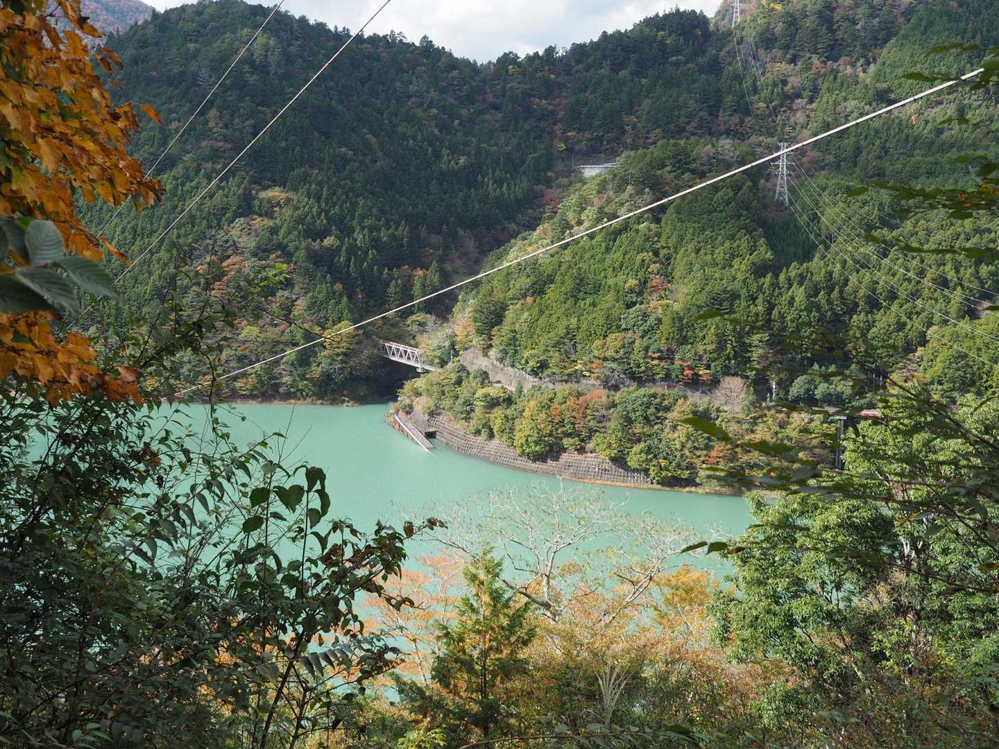 あ！ダム湖が見えたよ！
抹茶ミルクみたい😆
