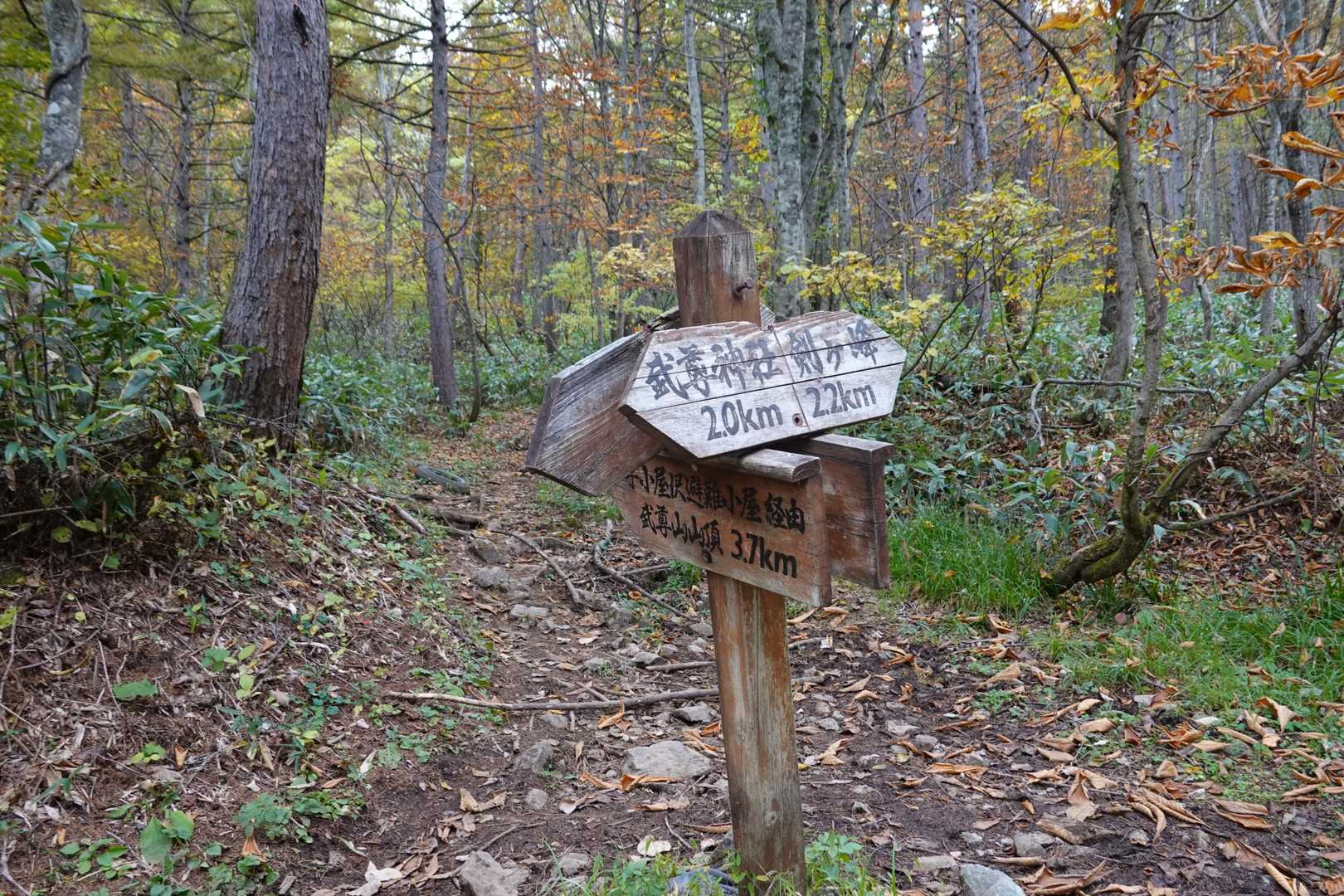 武尊山-剣ヶ峰山 周回コースの写真