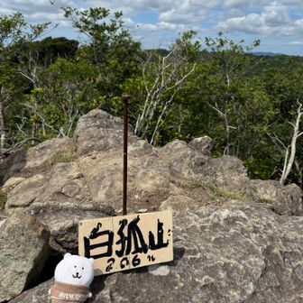 山頂狭いけど
風が気持ちよかった⸜(*˙꒳˙*)⸝ 来たぞーぅ

山頂についてすぐ目に入ったのが、
煙草の吸殻2本!!🚬
ヽ(`Д´)ﾉ 
ここまで来てなんでポイ捨てして帰るんだ⁉️
拾って帰りました🚯
ヽ(`Д´)ﾉ