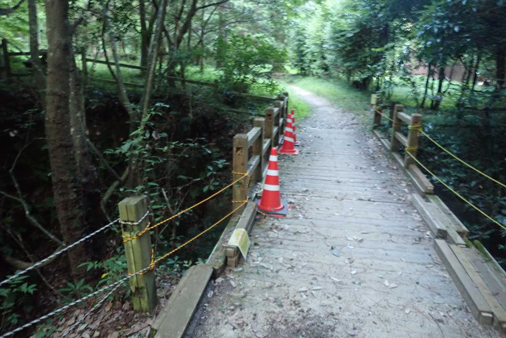 橋が崩れかかってる
