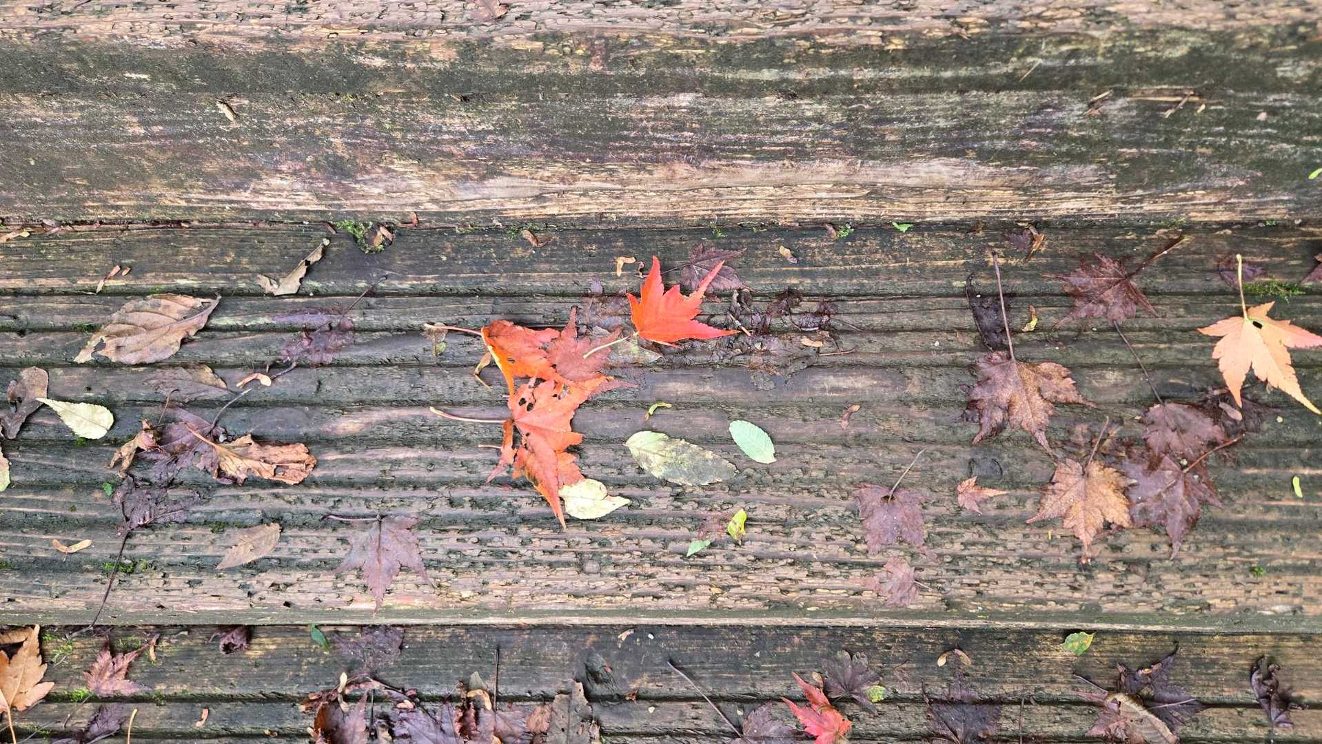 木の階段