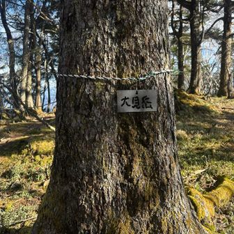 ここまではすぐ