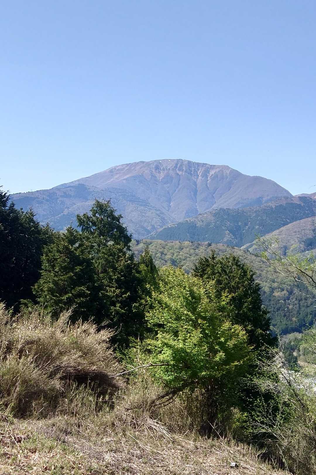 伊吹山ボーン⛰️