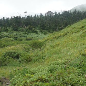 仙人岱避難小屋。往路はスルーしたが、時間もあるので行ってみます。