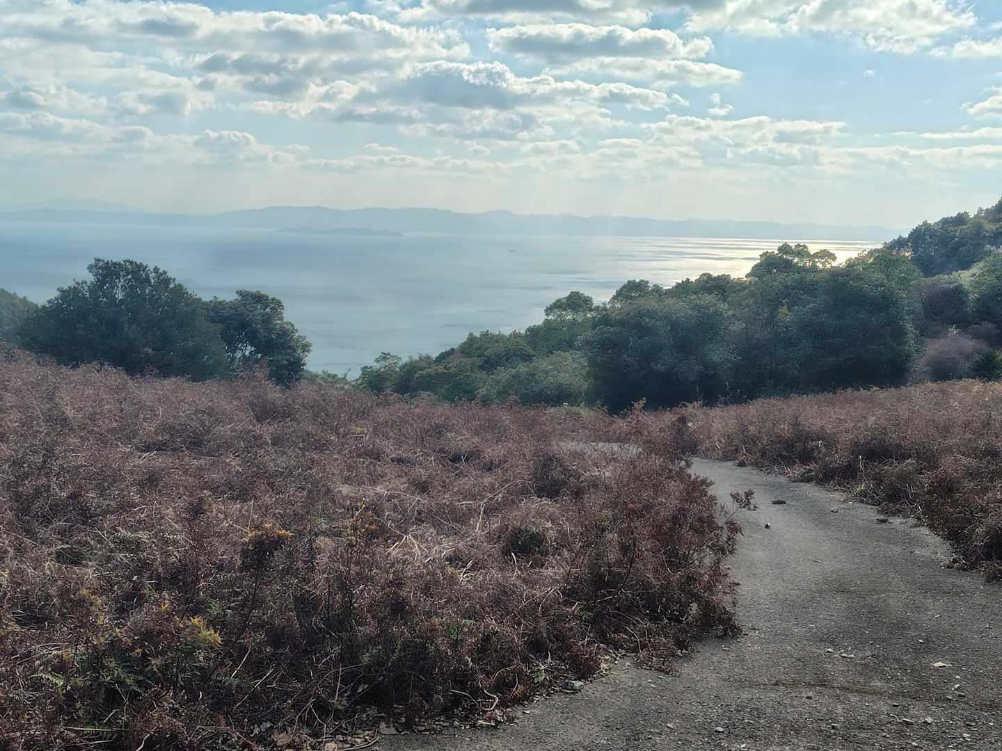 有明海