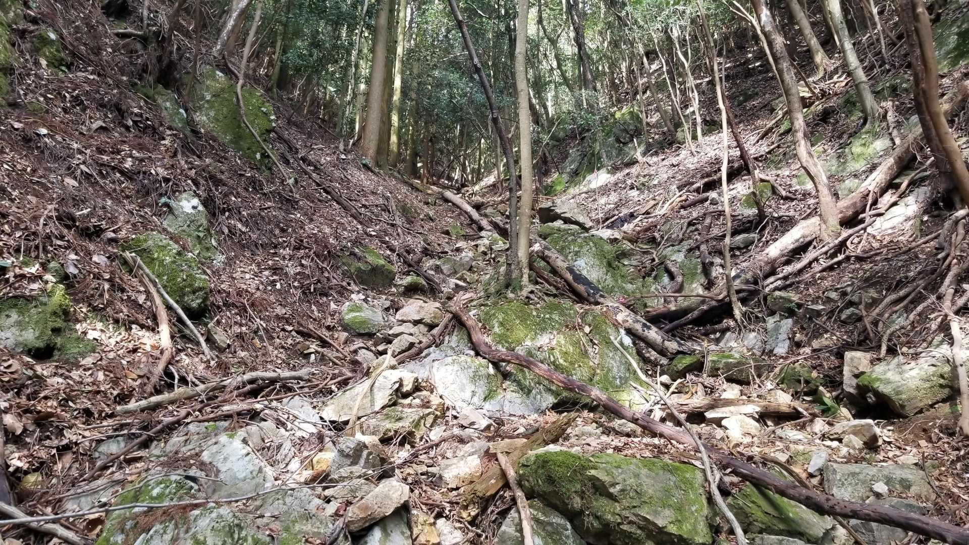 けっこう荒れてます😒