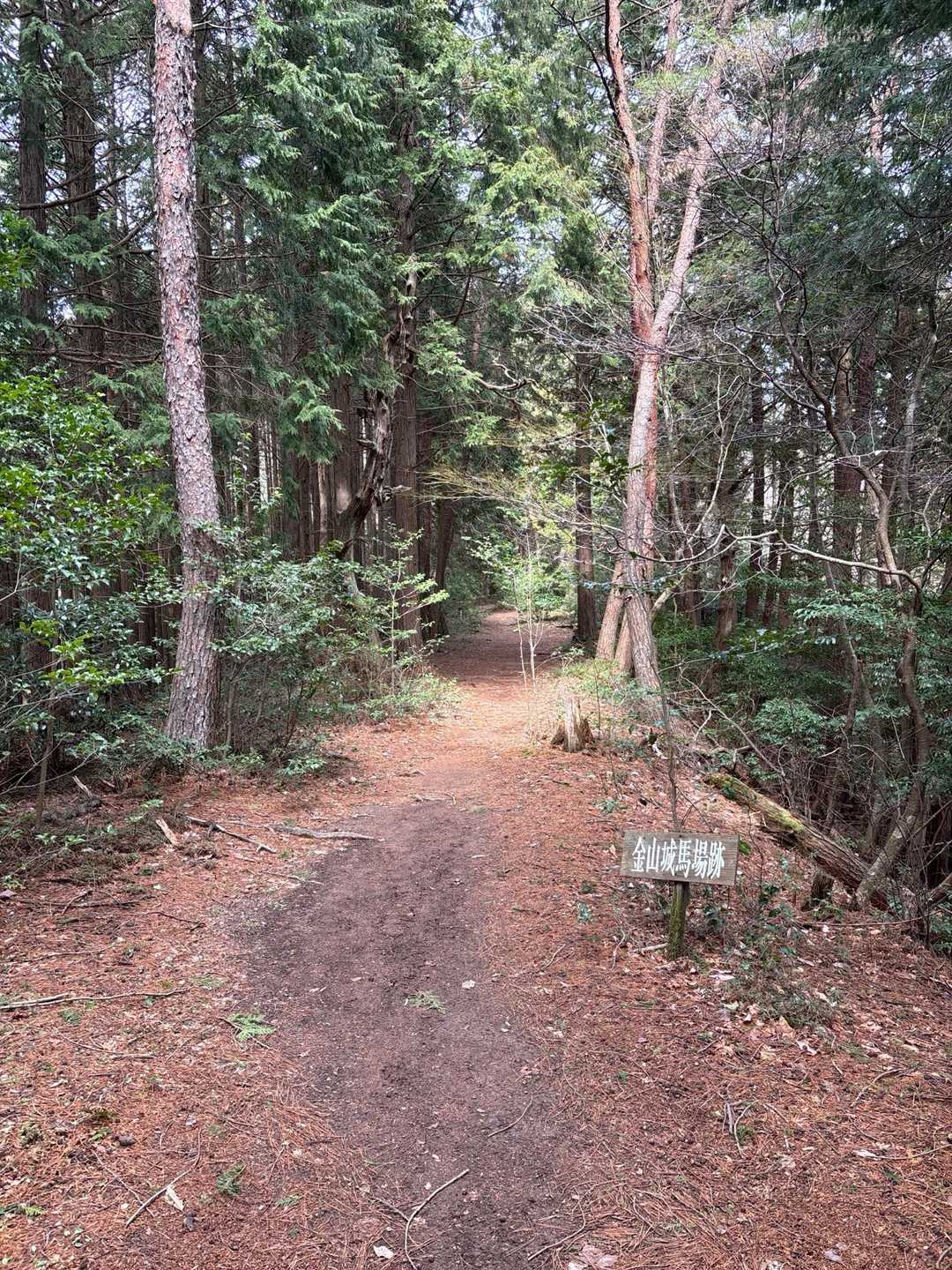 金山-金山登山口 周回コースの写真