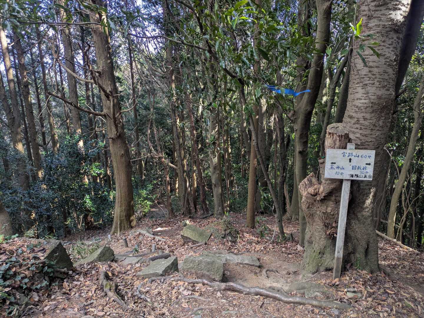 分岐点を間違えないように…😅