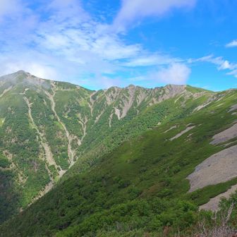 ピストンの戻りは辛い。ガスが晴れるのは良いが、現実を突きつけられる