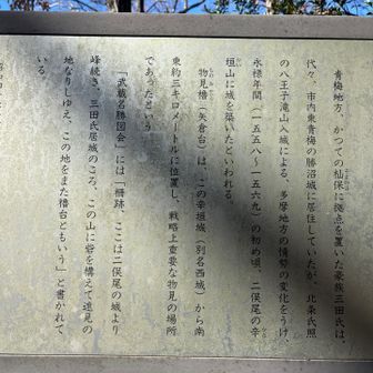 矢倉台の物見櫓だそうです