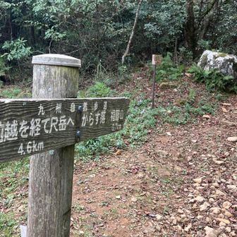 豊前越からのみと合流、ズルッコしてここに来る予定が