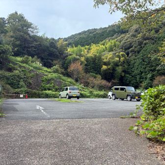 ポケットパークに帰って来ました