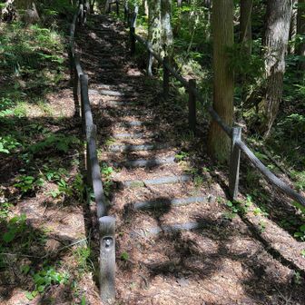 登山道はとてもキレイでした