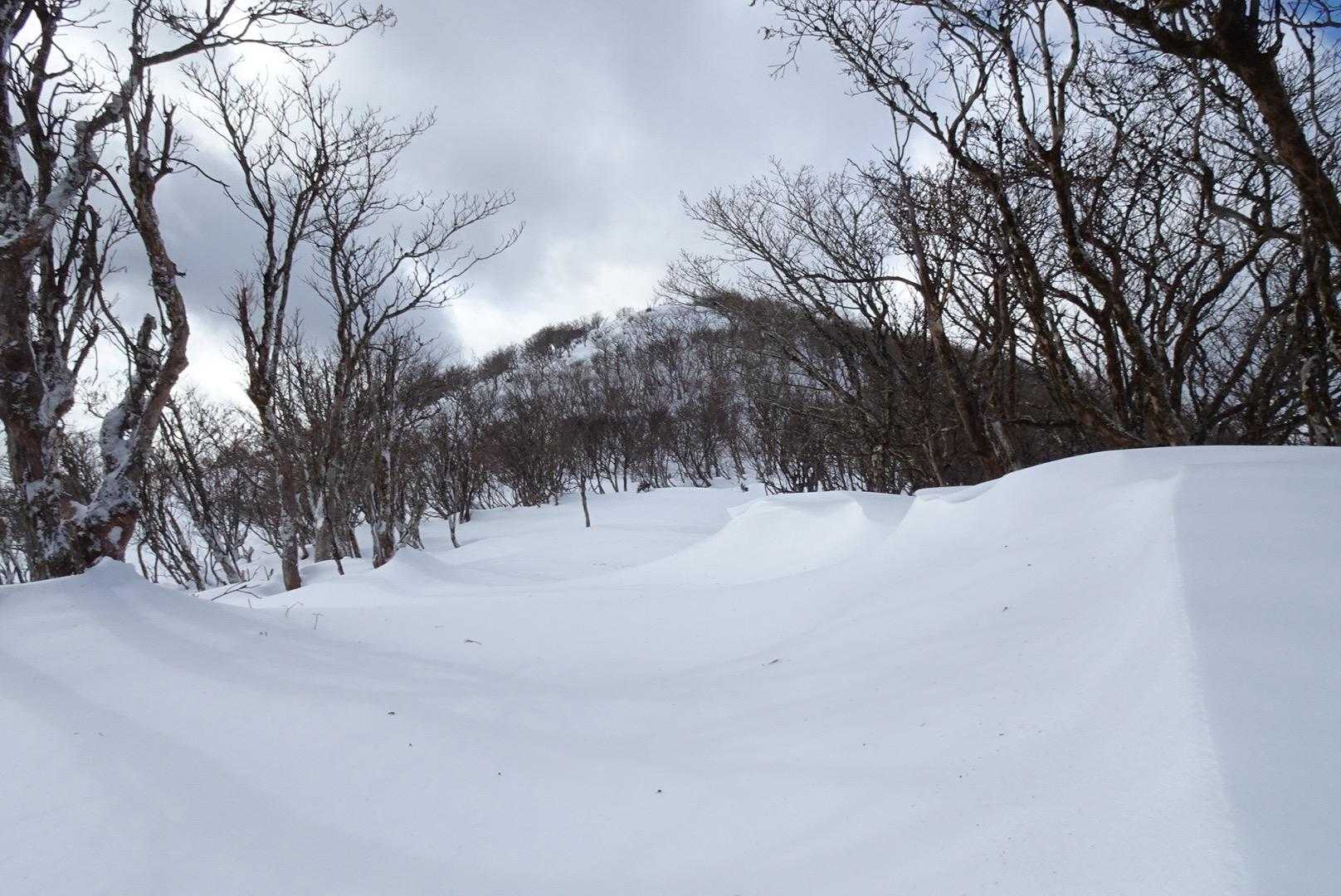 霧氷は無いけど雪庇が素敵(#^^#)