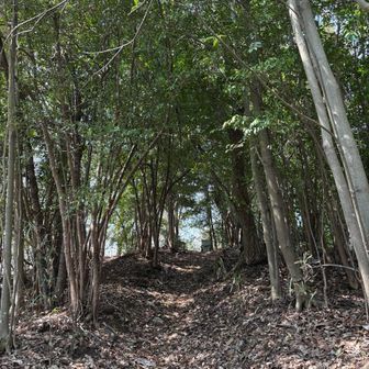 ラブレターへ向かう道はちょっとロマンチック？