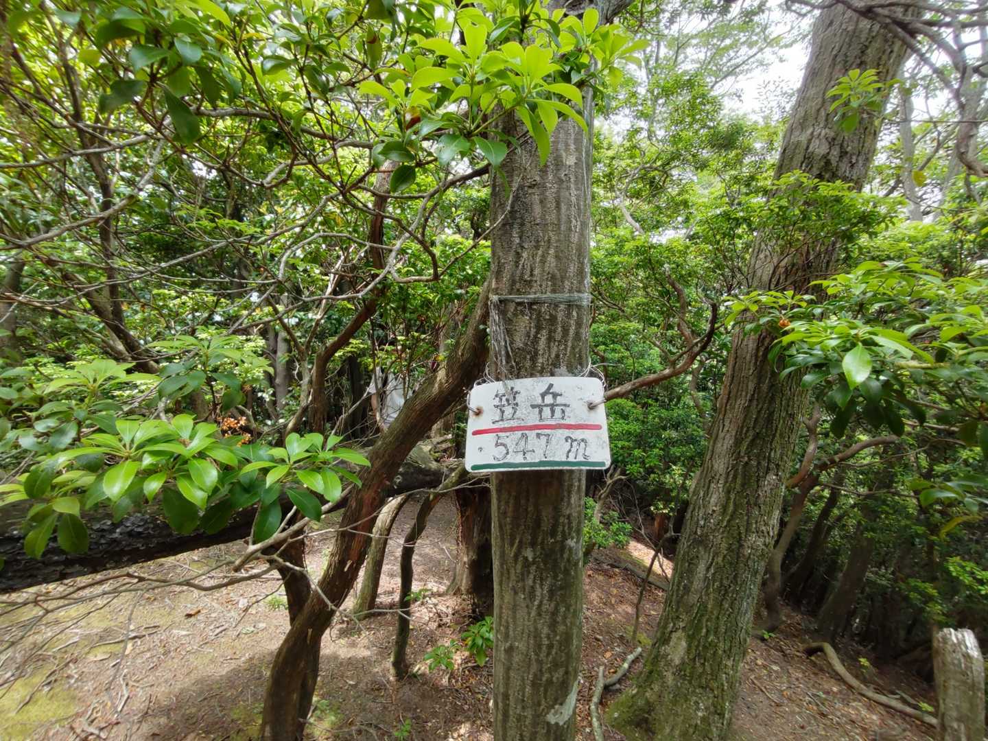 菰野富士登山口-ネコ最高点-ネコ-笠岳-菰野富士 周回コースの写真