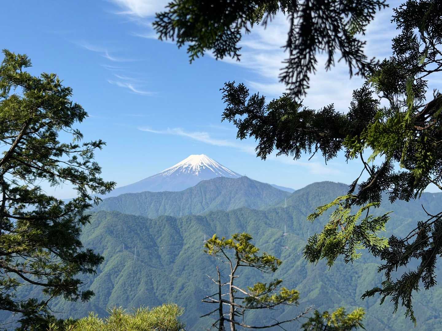 富士山🗻