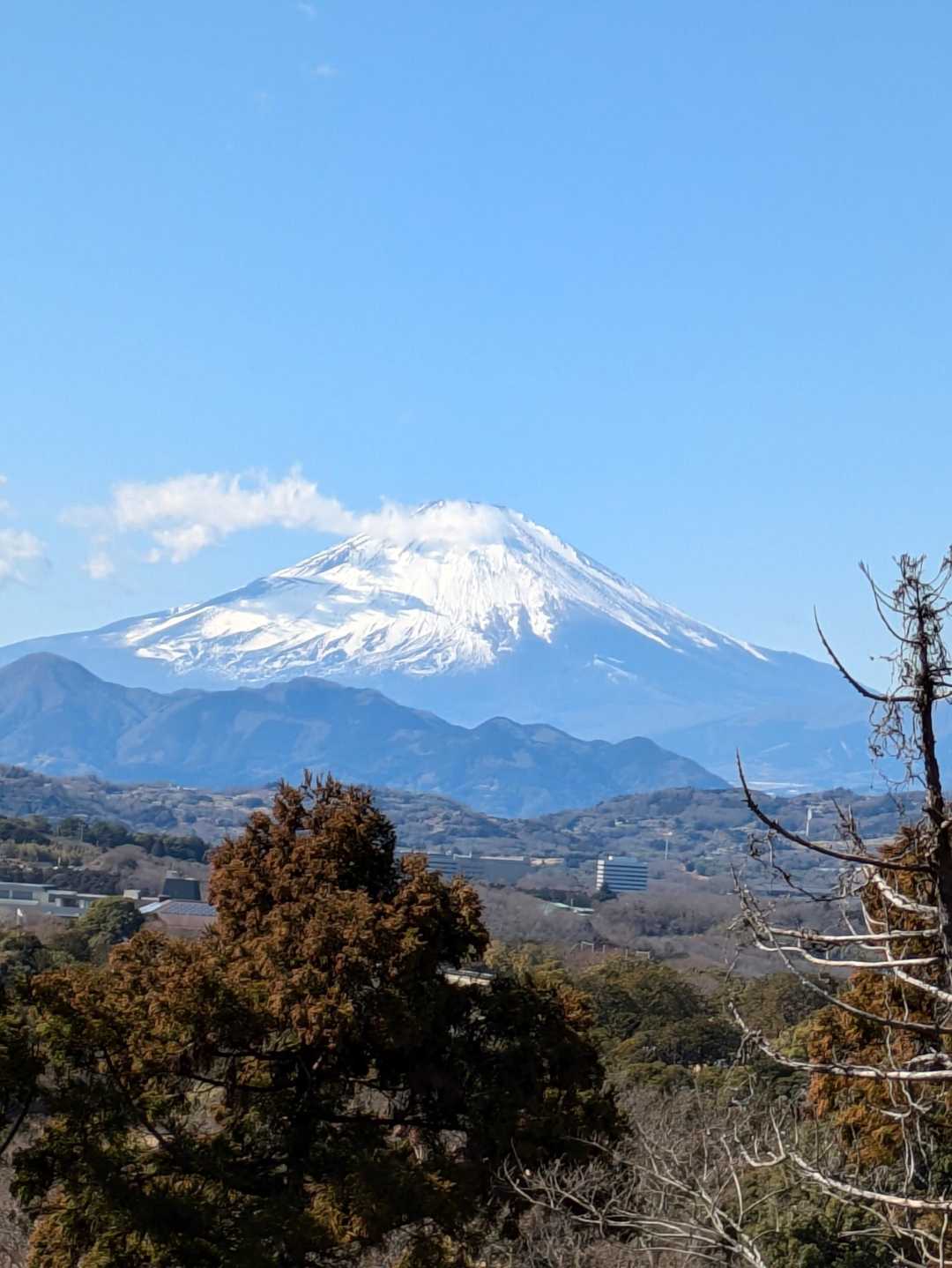 【フラット登山】海から山へ丹沢を目指す　湘南から幾重もの山と谷を越えての写真