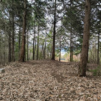 山頂に到着です