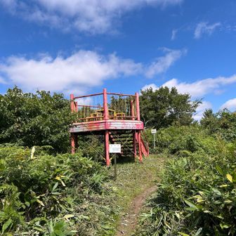 長官山の山頂t
今日はここも通過点