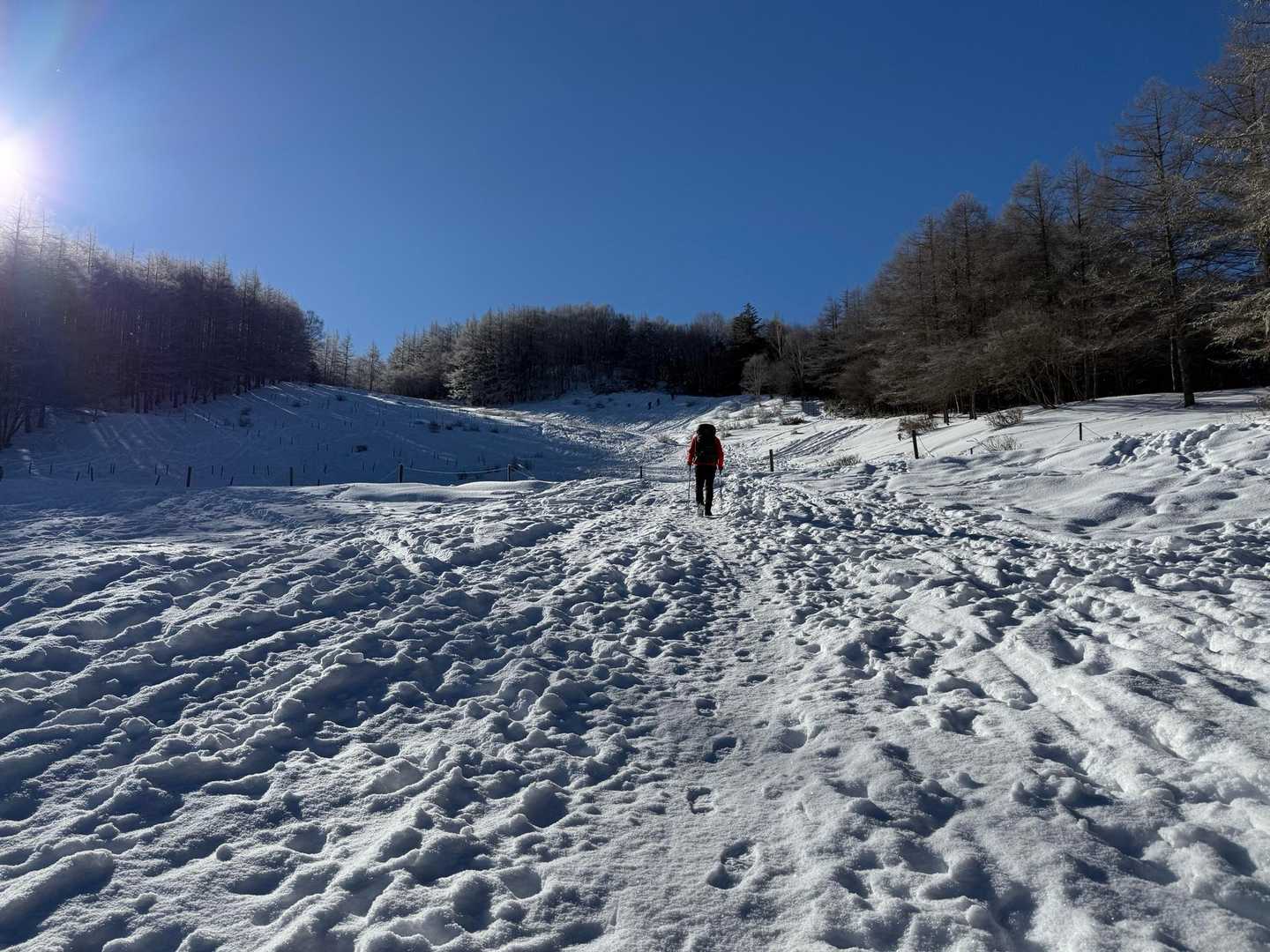 沢入登山口-入笠湿原-入笠山 往復コースの写真