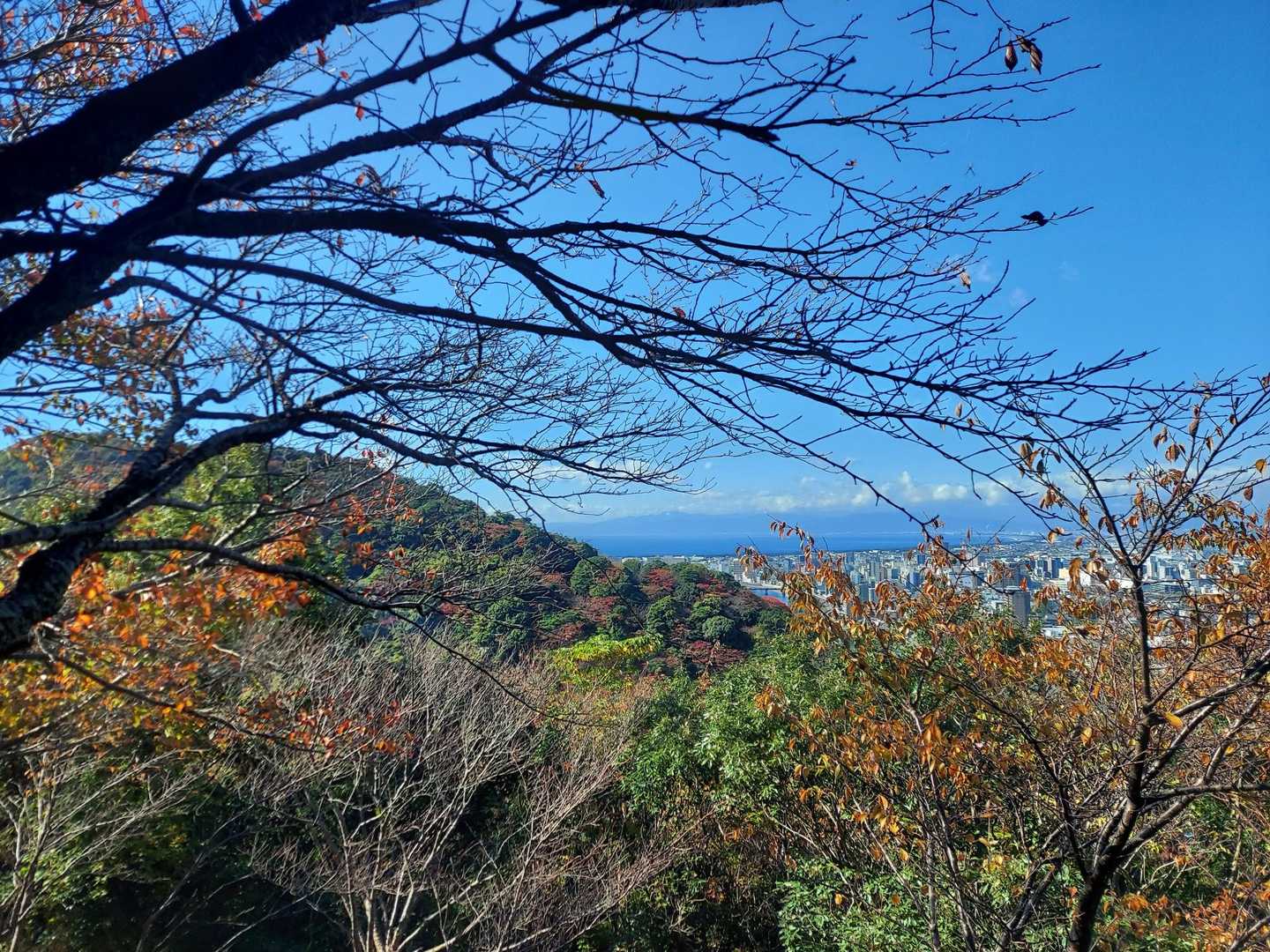 前の日の雨で洗われて空気がキレイ✨️