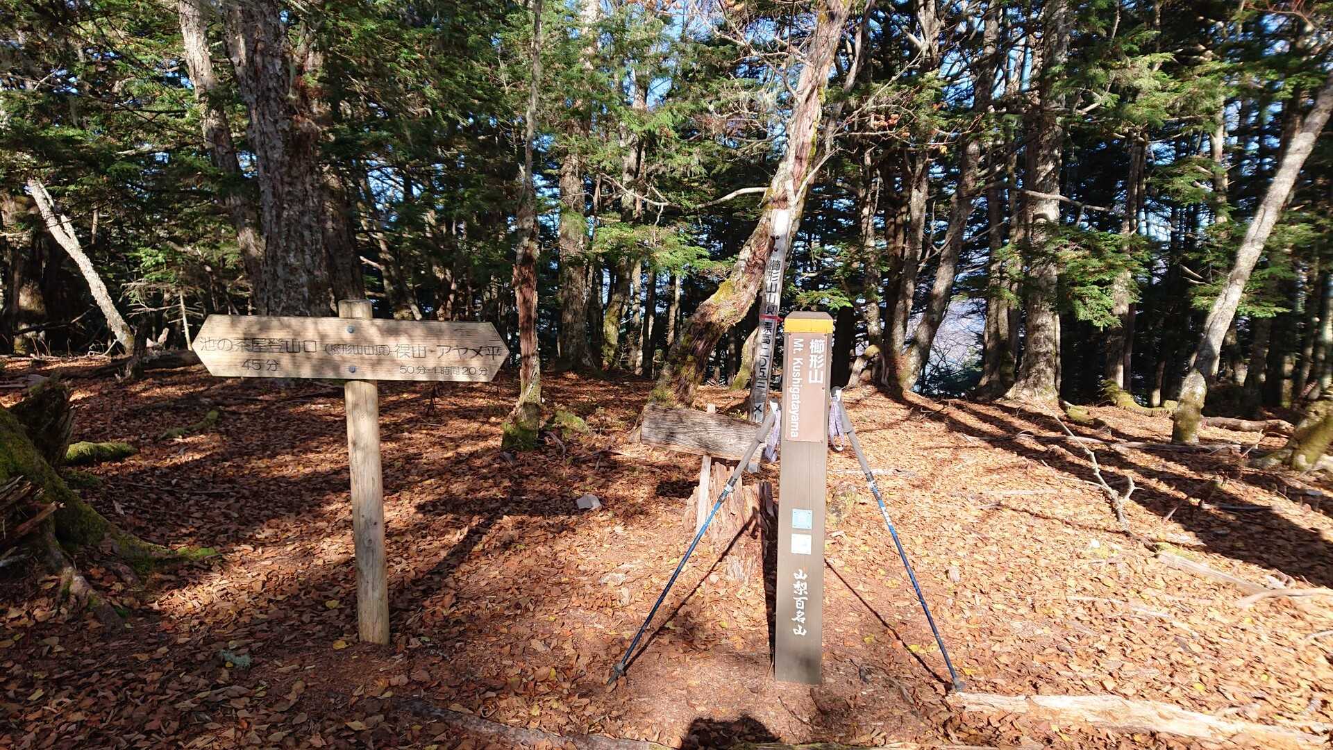 櫛形山の写真