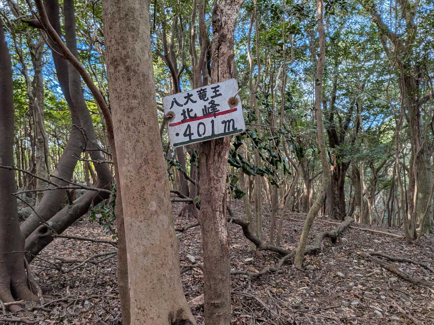 馬山登り口-馬山-馬山登り口-切原浅間山登り口-切原浅間山 縦走コースの写真