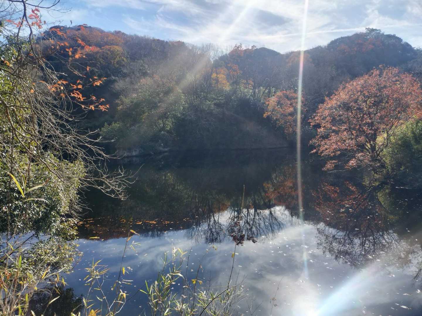 池もあり