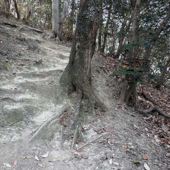 九合目　もう少しだ