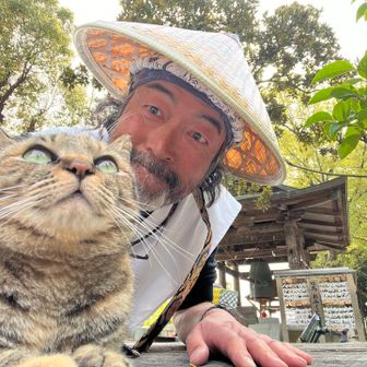 ここの猫、かわいい
