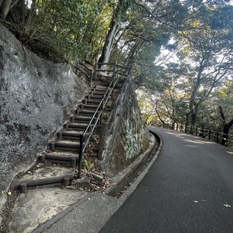 ぐるぐる迂回するコースを計画してたけど、階段あるやん！これでショートカット出来そう！と気がつき階段で上りました。