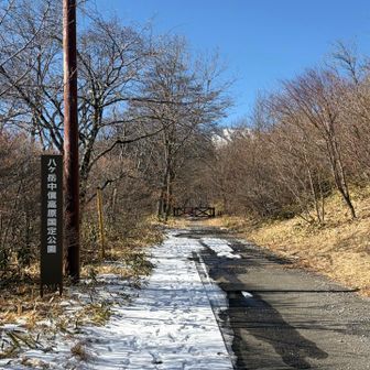 八ヶ岳中信高原国定公園、でした
