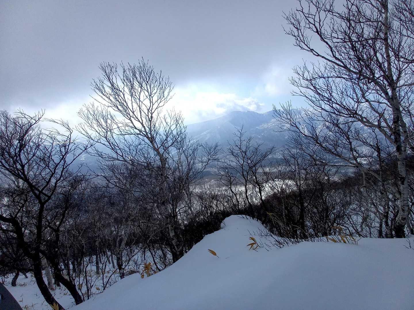 ピーク到着標識無いし景色も悪いもう来ない😅