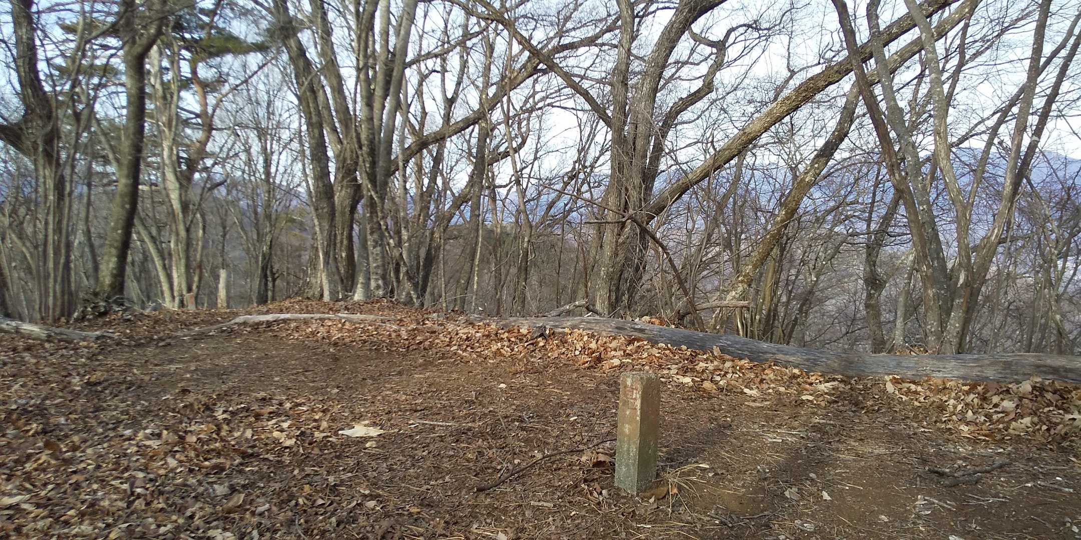 突坂山、標識が無いと寂しい😣⤵️
先を急ぐので素通りです😉