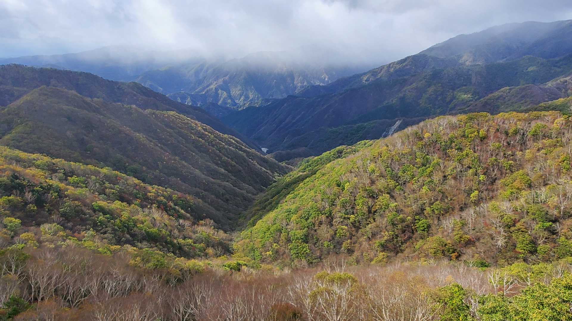 半月山-半月峠-中禅寺山 往復コースの写真