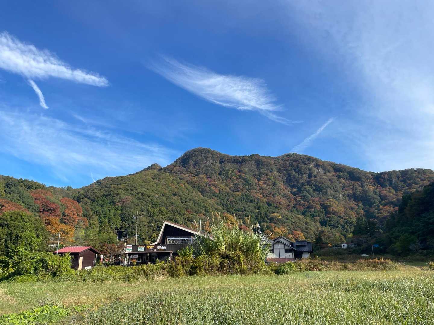 生瀬富士かな。色づき始めているね