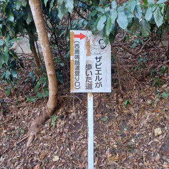 西鹿鳴越の入口ついた