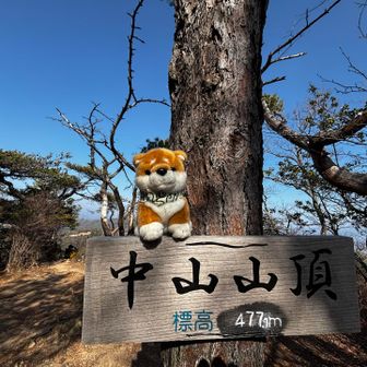 中山山頂に着きました