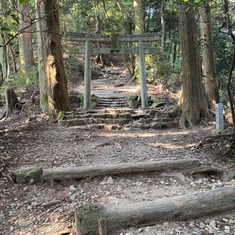 2つ目の鳥居⛩️