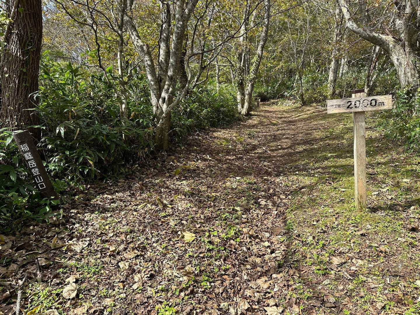 とにかく広い登山道